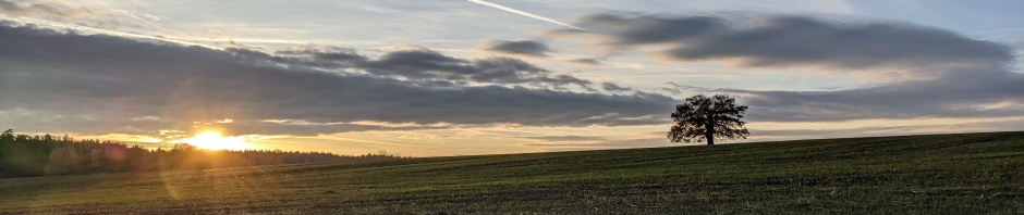 Schömberg (Hohe Häuser) November 2020, Blick nach Westen